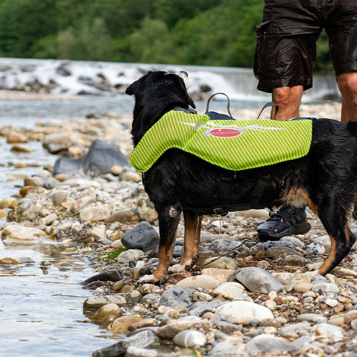 Giubbotto di salvataggio