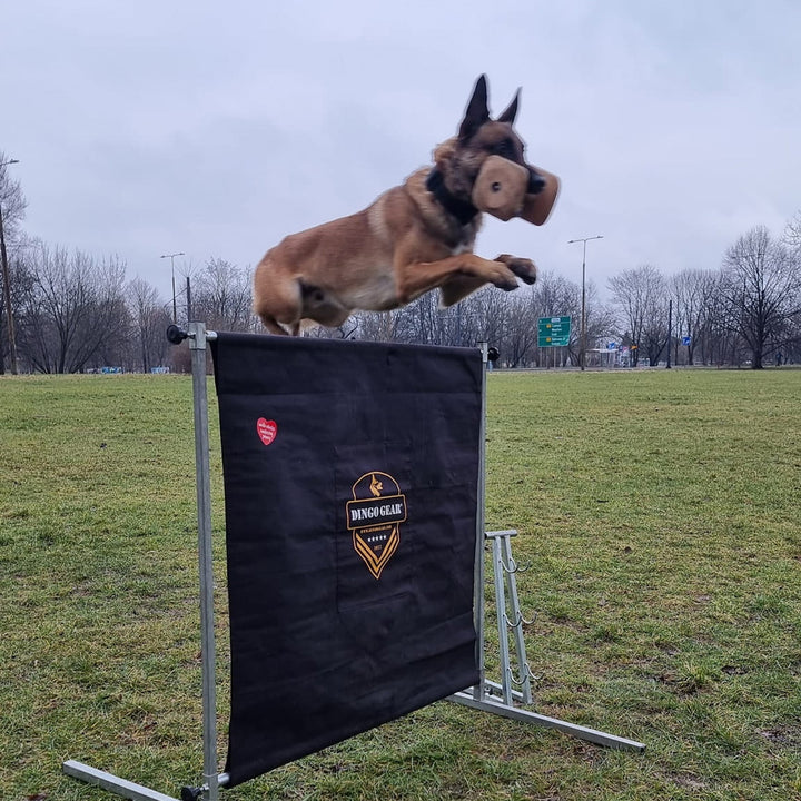 Ostacolo per il salto alto 100 cm - Dingo Gear