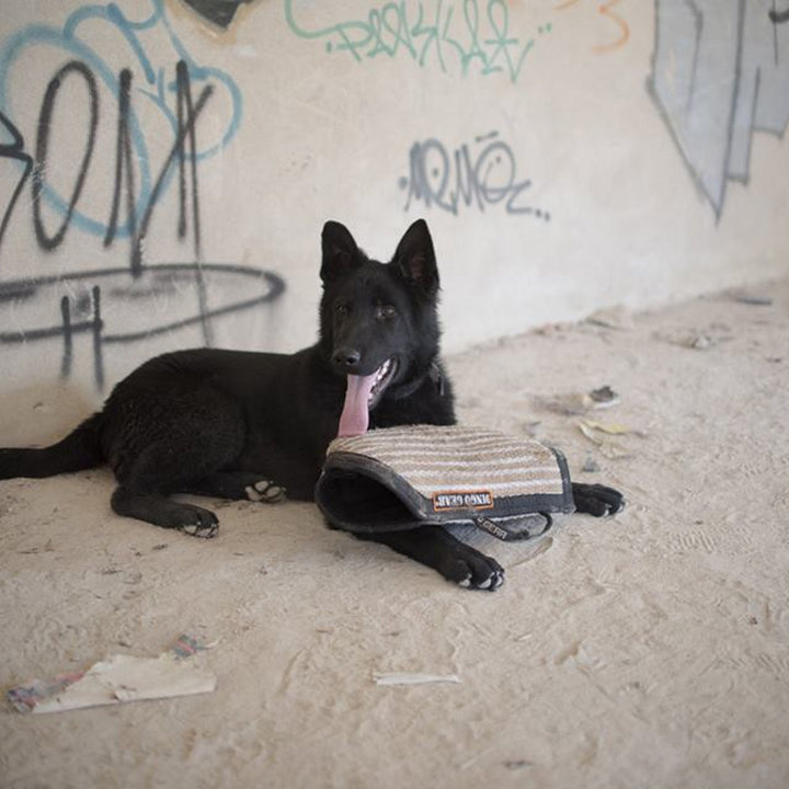 Braccio da addestramento universale morbido ATOS - Dingo Gear