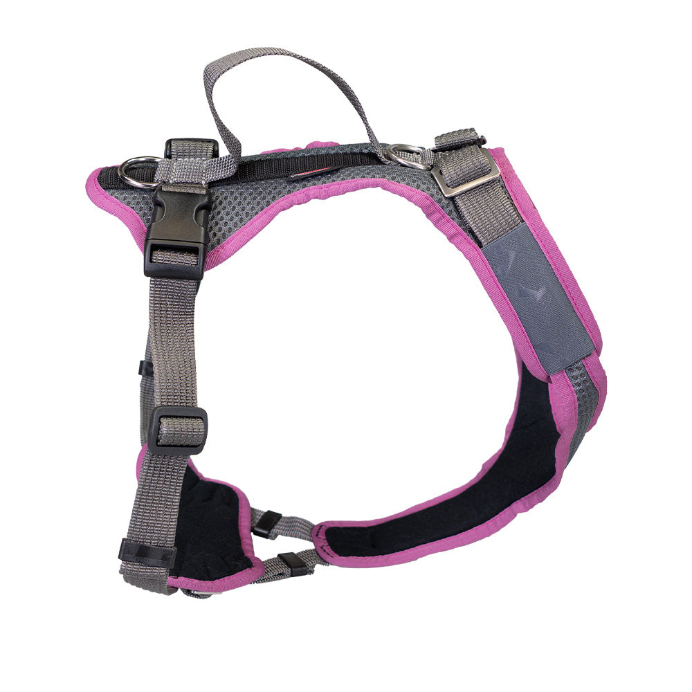 imbracatura per cani giovani Vary Standard, liberamente regolabile. grigio-lilla