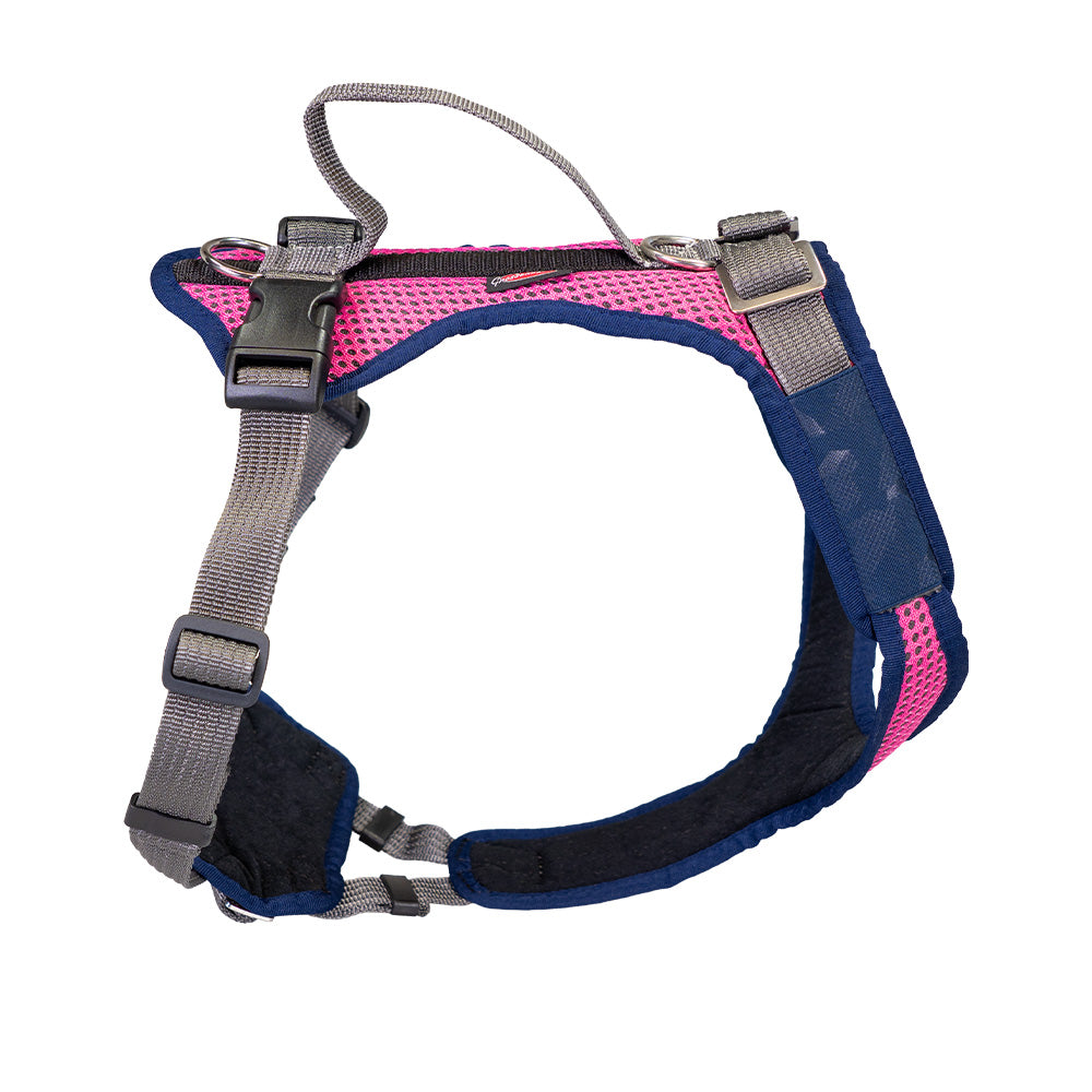 imbracatura per cani per cani giovani Vary Standard, regolabile liberamente. rosa-blu-navy