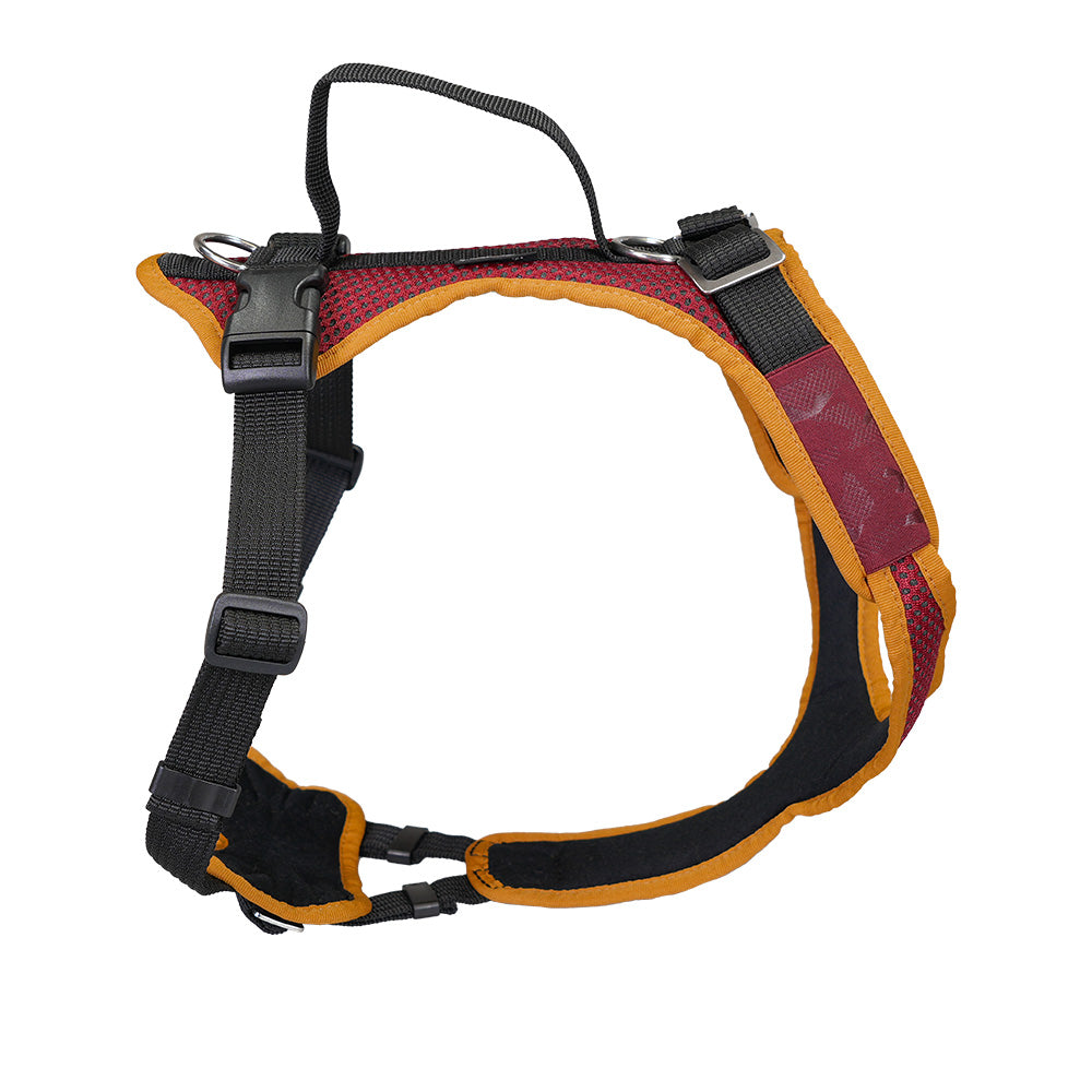 imbracatura per cani giovani Vary Standard, regolabile a piacere. giallo chiaretto-senape