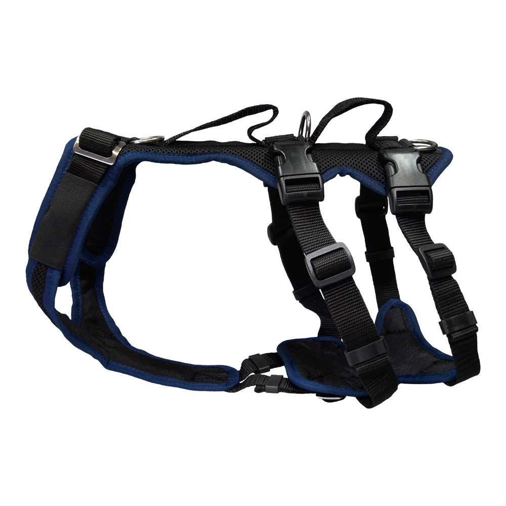 imbracatura per cani Supporto variabile