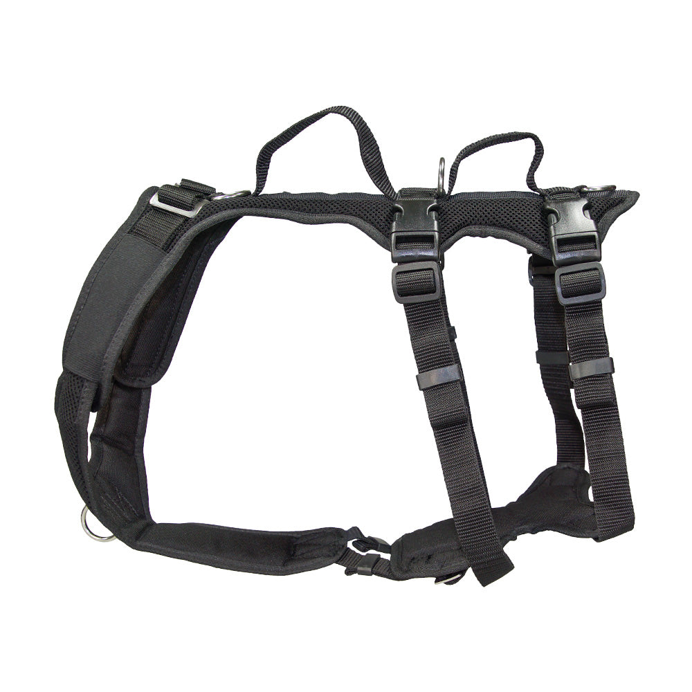 imbracatura per cani Supporto variabile