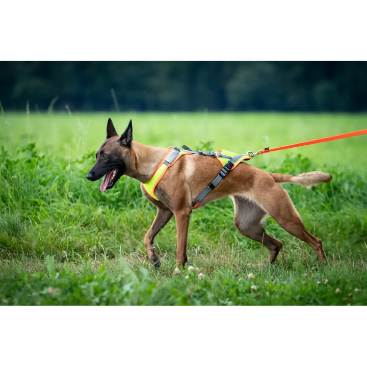 imbracatura per cani Variare Mantrail